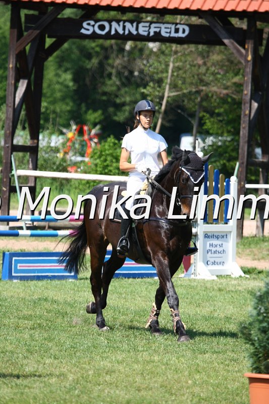 105M9829_Jack Pot_Spingpf_A.JPG